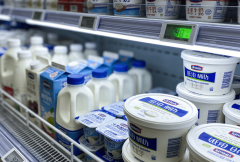 2026年食物平安范畴